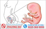 Phòng khám đa khoa Phượng Đỏ