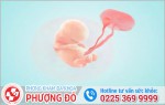 Phòng khám đa khoa Phượng Đỏ