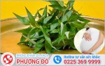Phòng khám đa khoa Phượng Đỏ
