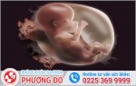 Phòng khám đa khoa Phượng Đỏ