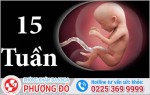 Phòng khám đa khoa Phượng Đỏ