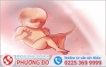 Phòng khám đa khoa Phượng Đỏ