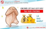 Phòng khám đa khoa Phượng Đỏ