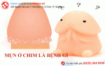 Phòng khám đa khoa Phượng Đỏ