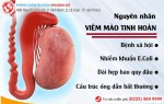 Phòng khám đa khoa Phượng Đỏ