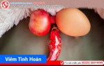 Phòng khám đa khoa Phượng Đỏ