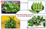 Phòng khám đa khoa Phượng Đỏ