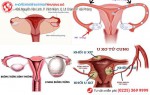 Phòng khám đa khoa Phượng Đỏ