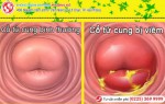 Phòng khám đa khoa Phượng Đỏ