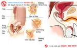 Phòng khám đa khoa Phượng Đỏ