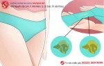 Phòng khám đa khoa Phượng Đỏ