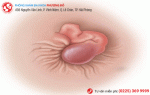 Phòng khám đa khoa Phượng Đỏ
