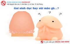 Phòng Khám Phượng Đỏ
