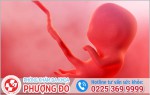 Phòng khám đa khoa Phượng Đỏ