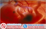 Phòng khám đa khoa Phượng Đỏ