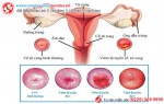 Phòng khám đa khoa Phượng Đỏ