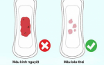 Phòng khám đa khoa Phượng Đỏ