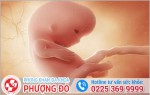 Phòng khám đa khoa Phượng Đỏ