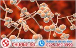 Phòng khám đa khoa Phượng Đỏ