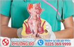 Phòng khám đa khoa Phượng Đỏ