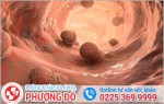 Phòng khám đa khoa Phượng Đỏ