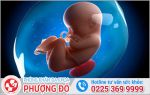 Bỏ Thai 9 Tuần Có Được Không ?