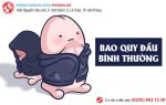 Những thông tin liên quan đến bao quy đầu bình thường