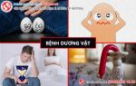 Điểm danh các bệnh dương vật hay gặp