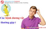 Những bệnh thường gặp ở dương vật và cách hỗ trợ điều trị