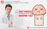 Hạt ngọc dương vật là gì? Cách chữa hạt ngọc dương vật