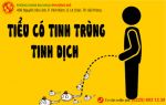 Cách điều trị tiểu có tinh trùng, tinh dịch