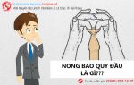 Nong bao quy đầu là gì?