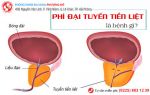 Phì đại tuyến tiền liệt ở nam giới và những điều cần biết