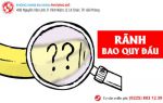 Những thông tin liên quan đến rãnh bao quy đầu