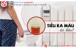 Tiểu ra máu trong trường hợp nào thì nguy hiểm?