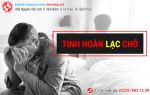 Tinh hoàn lạc chỗ - nguy cơ mất khả năng “đàn ông”