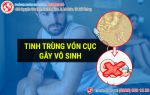 CẢNH BÁO! 35% nam giới vô sinh hiếm muộn do tinh trùng đặc, tinh trùng vón cục