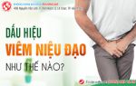 Viêm niệu đạo là gì? Có chữa khỏi được không?