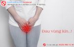 Đau vùng kín là dấu hiệu của bệnh gì?