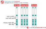 Hướng dẫn đọc que thử thai chính xác