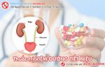 Mách bạn thuốc trị đường tiết niệu an toàn, chi phí rẻ hiện nay