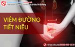 Viêm đường tiết niệu – khi chủ quan làm bạn phải trả giá