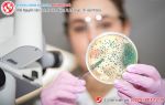 Thông tin mới nhất về bệnh lậu