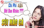 Chi Phí Chữa Bệnh Sùi Mào Gà. Giá Bình Dân Ở Hải Phòng