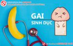 Dành ra 8 phút, bạn sẽ hiểu về gai sinh dục