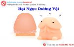 Hình ảnh hạt ngọc dương vật