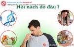 Đôi điều bàn luận về hôi nách