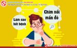 Chim nổi mẩn đỏ là dấu hiệu bệnh gì? Làm sao để nhanh khỏi bệnh?