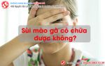 Sùi Mào Gà Có Chữa Được Không. Anh Chị Cùng Tìm Hiểu Ngay