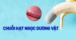 Hạt ngọc dương vật là gì và cách chữa bệnh hạt ngọc dương vật